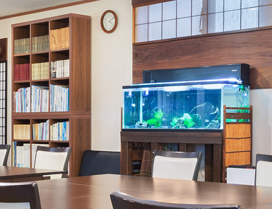 デイルーム内のメダカの水槽